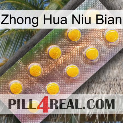 Zhong Hua Niu Bian new11